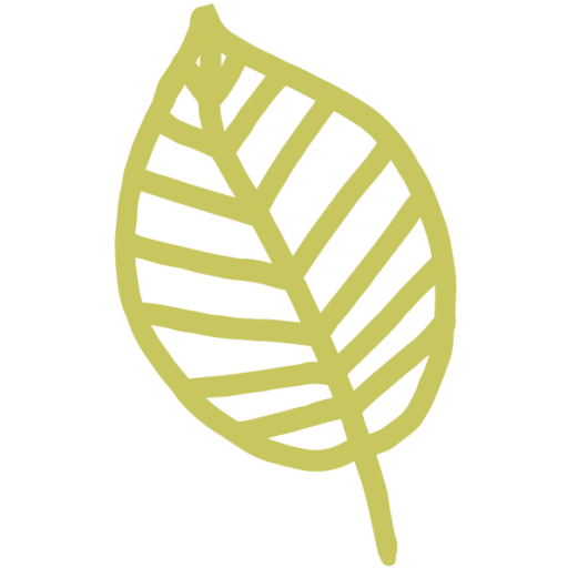 Favicon eccoproducts